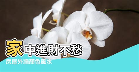 外牆顏色風水 属虎年份